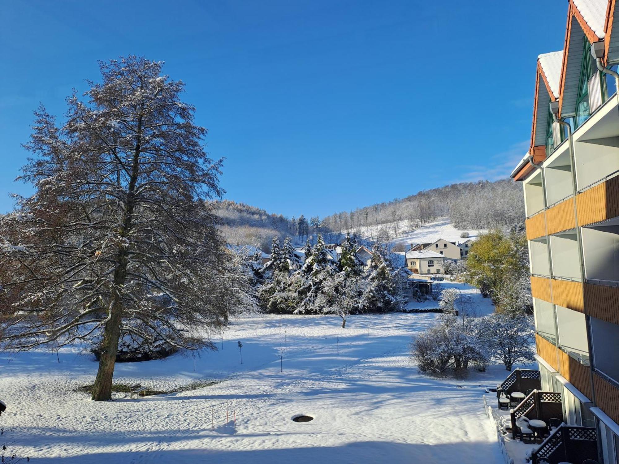 Waldhotel Baerenstein Horn-Bad Meinberg Dış mekan fotoğraf
